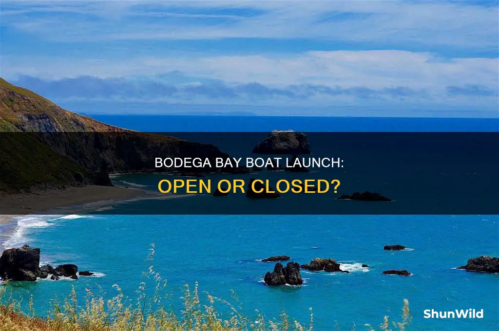 is bodega bay boat launch open