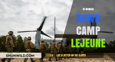 Is Boingo Down at Camp Lejeune? Troubleshooting Tips and Solutions