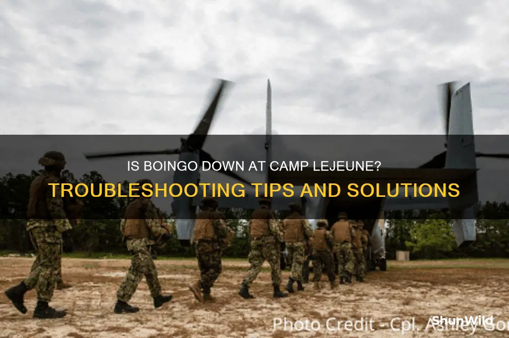is boingo down camp lejeune