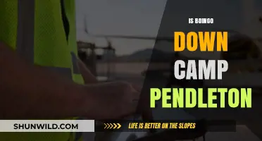 Is Boingo Down at Camp Pendleton? Troubleshooting Tips and Updates