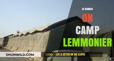 Is Boingo Available at Camp Lemonnier? A Connectivity Guide