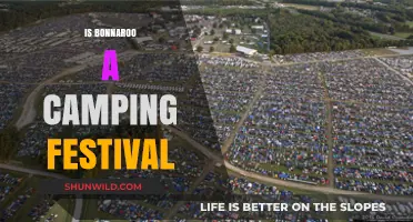 Bonnaroo Camping Festival: What to Expect at the Farm