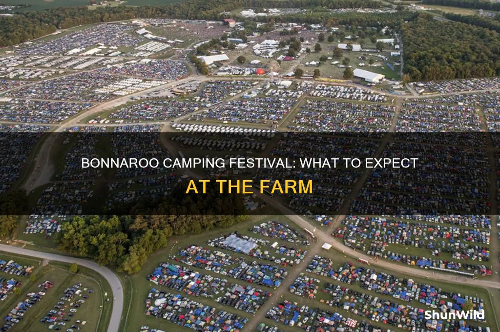 is bonnaroo a camping festival