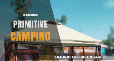Is Bonnaroo Primitive Camping? Exploring the Basics of Festival Camping