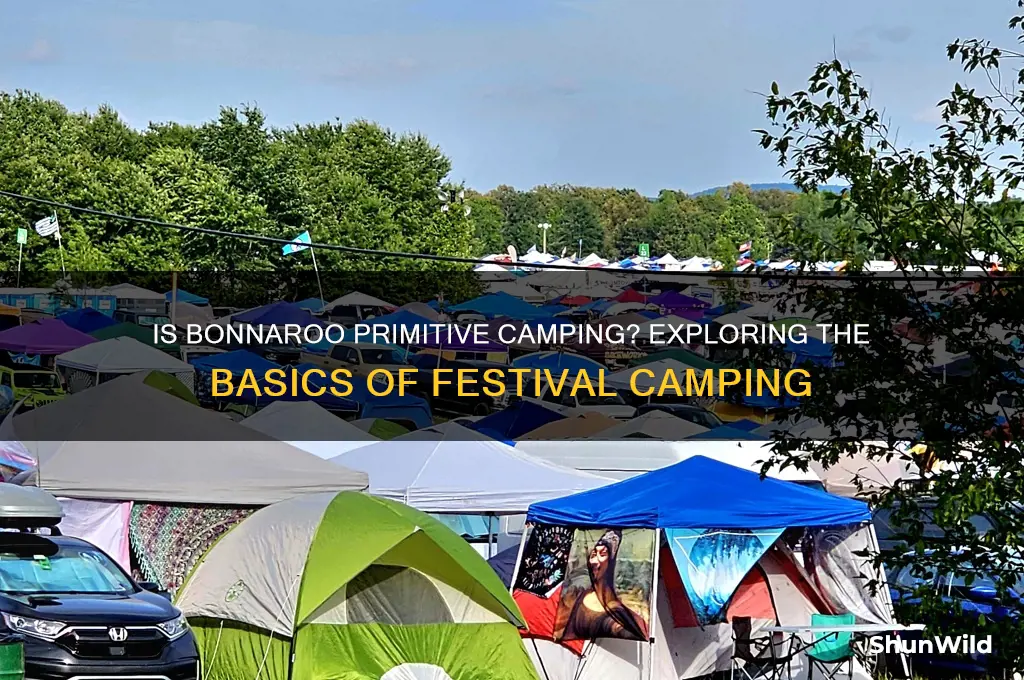 is bonnaroo primitive camping