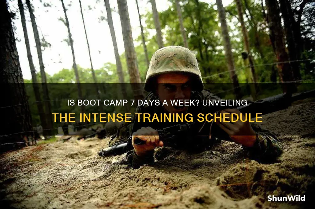 is boot camp 7 days a week