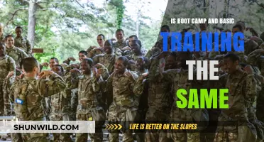 Boot Camp vs. Basic Training: Understanding the Key Differences