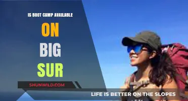 Is Boot Camp Compatible with macOS Big Sur? A Comprehensive Guide