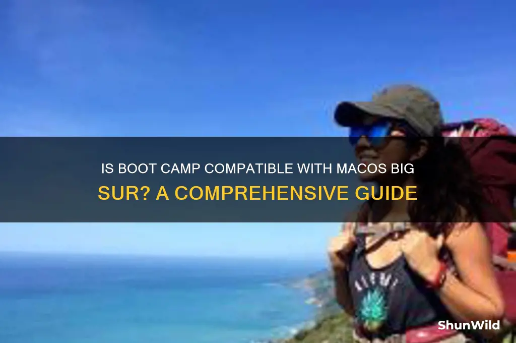 is boot camp available on big sur