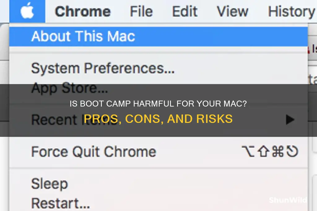 is boot camp bad for mac