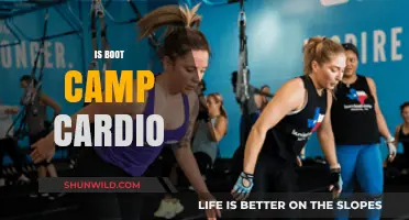 Is Boot Camp Cardio Effective for Fitness and Weight Loss?
