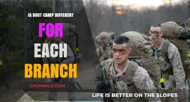 How Boot Camp Varies Across Military Branches: Key Differences Explained