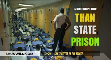 Boot Camp vs. State Prison: Which is the Tougher Sentence?