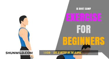 Boot Camp Basics: Beginner-Friendly Workouts to Kickstart Your Fitness Journey