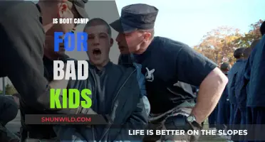 Boot Camp for Troubled Youth: Effective Solution or Harmful Approach?