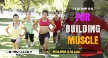 Is Boot Camp Effective for Muscle Building? A Comprehensive Analysis