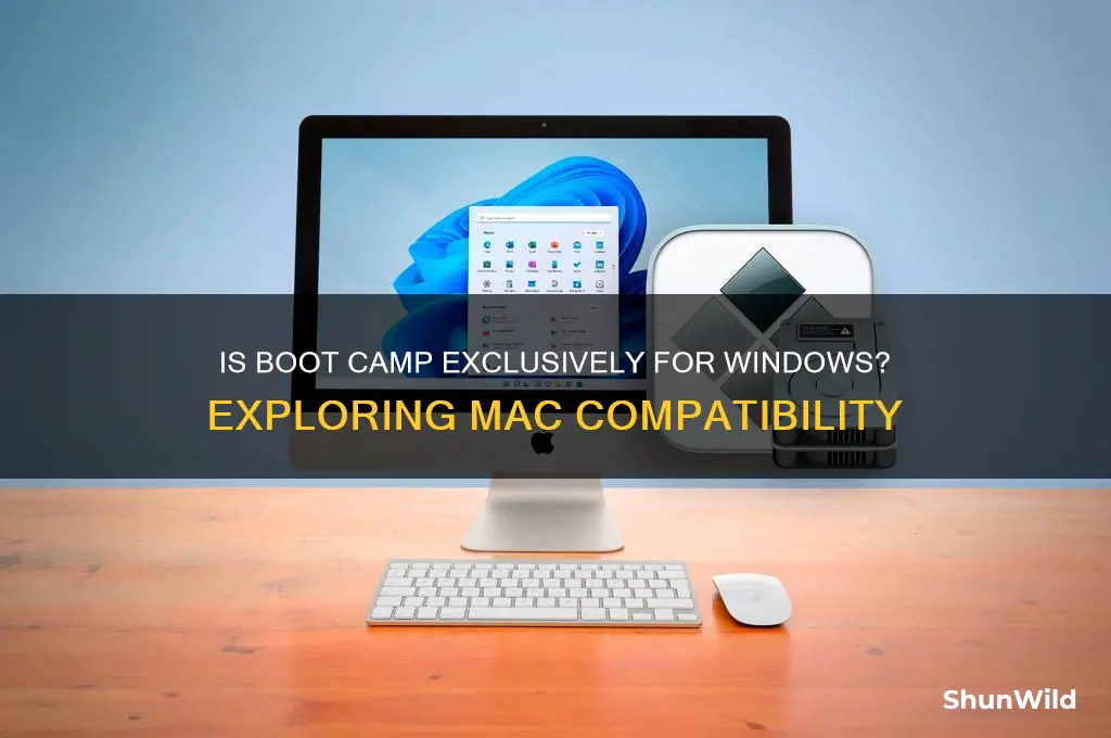 is boot camp just for windows
