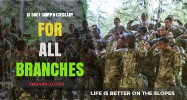 Is Boot Camp Essential for Every Military Branch? Exploring the Necessity