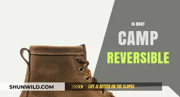 Can Boot Camp Effects Be Reversed? Exploring the Long-Term Impact
