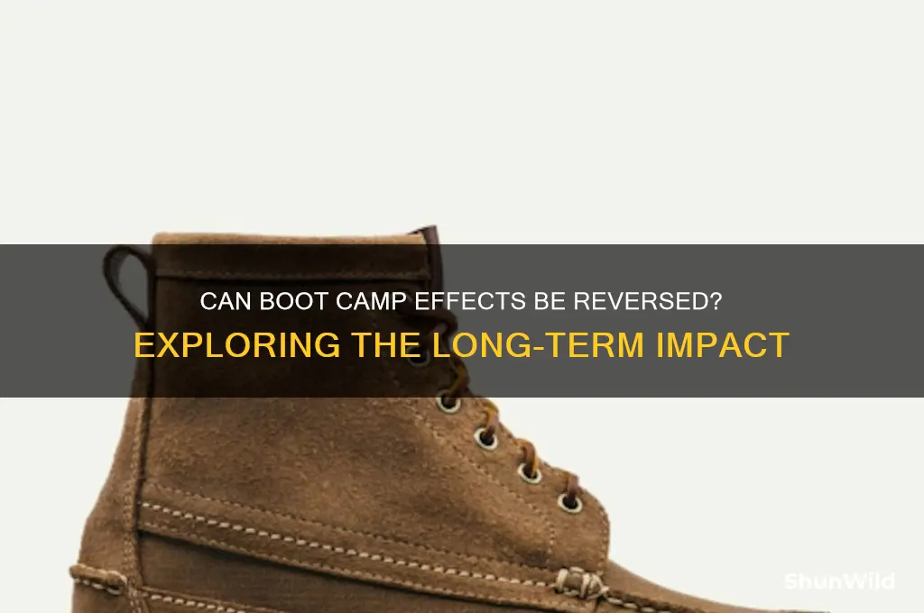 is boot camp reversible