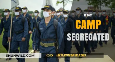 Is Boot Camp Segregated? Exploring Military Training Diversity and Inclusion