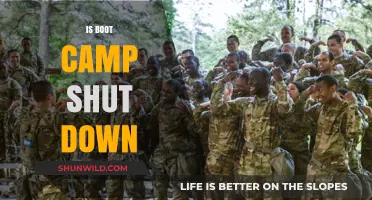 Is Boot Camp Still Active? Exploring Its Current Status and Future