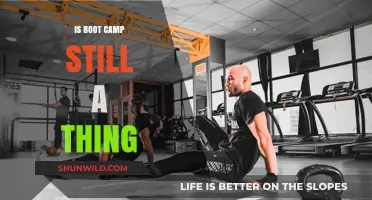 Is Boot Camp Still Relevant in Today's Fitness Landscape?