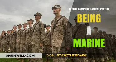 Boot Camp: The Ultimate Test of Marine Corps Resilience and Strength