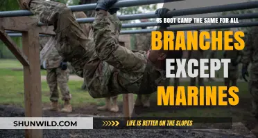 Are Military Boot Camps Uniform Across Branches, Excluding Marines?