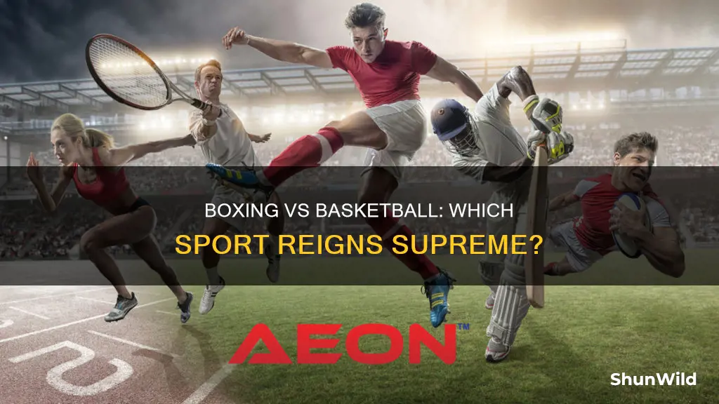 is boxing more popular than basketball