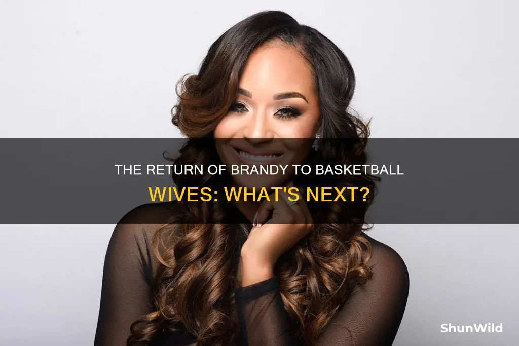 is brandy returning to basketball wives