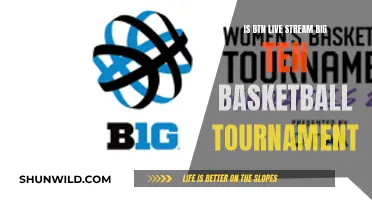 Big Ten Basketball Tournament: Watch BTN Live Stream