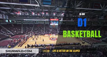 BU's Basketball Team: A D1 Powerhouse?