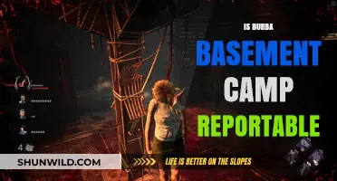 Is Bubba Basement Camp Reportable? Legal Insights and Obligations