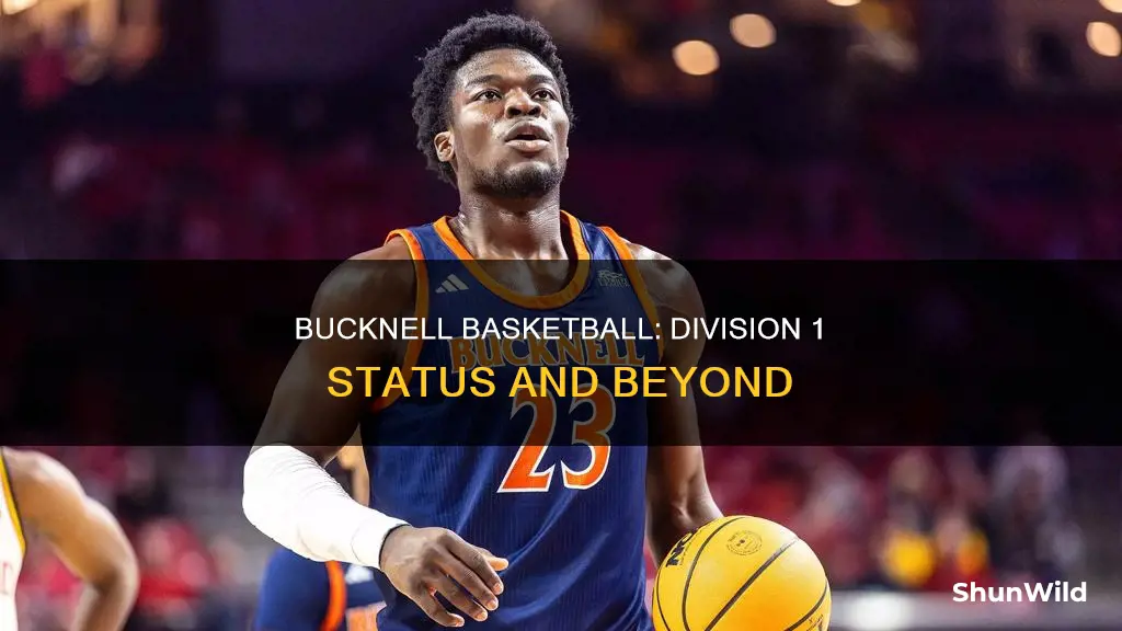 is bucknell basketball division 1