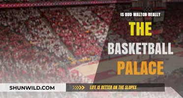 The Bud Walton Basketball Palace: A True Hoops Haven