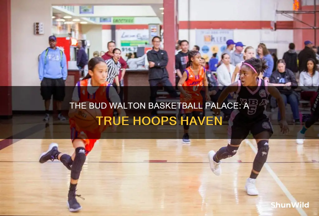 is bud walton really the basketball palace