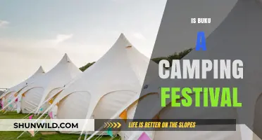 Buku Music + Art Project: Camping Festival or Urban Experience?