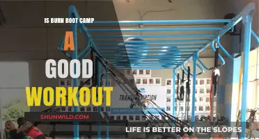 Is Burn Boot Camp Effective? A Comprehensive Workout Review