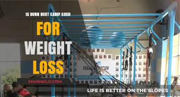 Is Burn Boot Camp Effective for Weight Loss? A Comprehensive Review