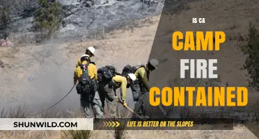 Is the CA Camp Fire Contained? Latest Updates and Progress