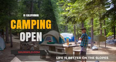 Is California Camping Open? Current Status and Updates for Campers