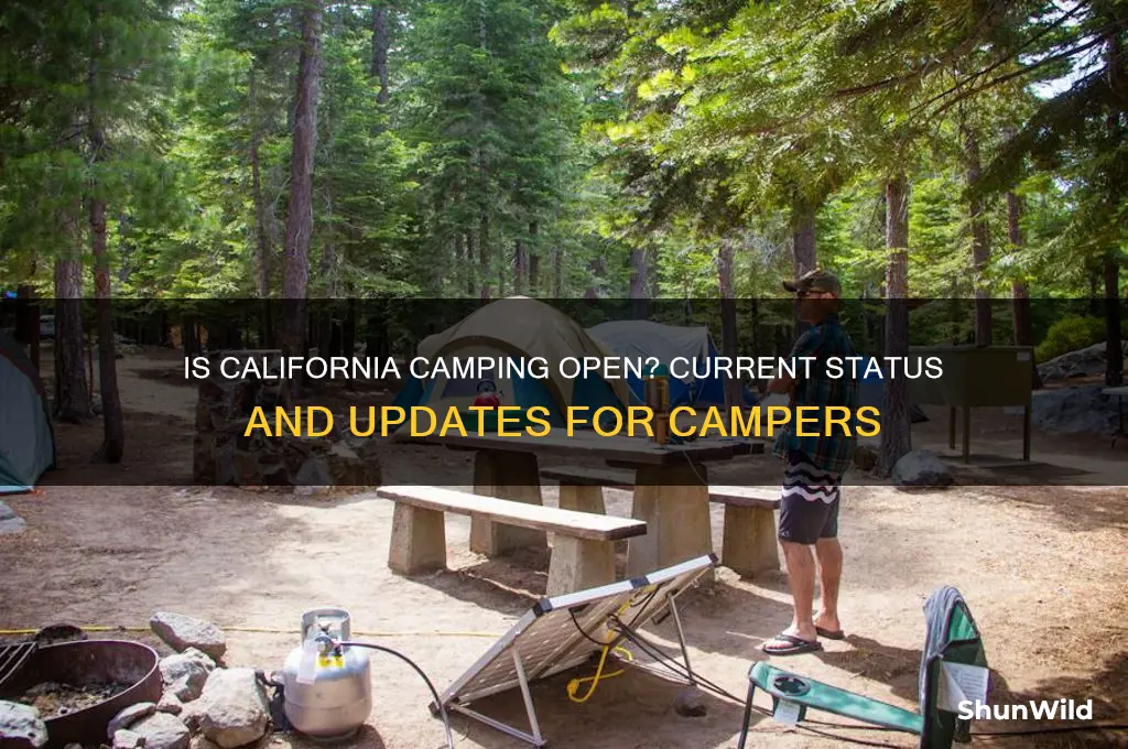 is california camping open