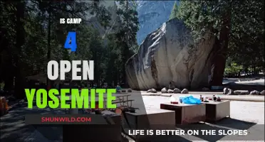 Is Camp 4 Open in Yosemite? Your 2023 Guide to Availability