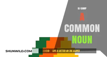 Is Camp a Common Noun? Exploring Its Linguistic Classification and Usage