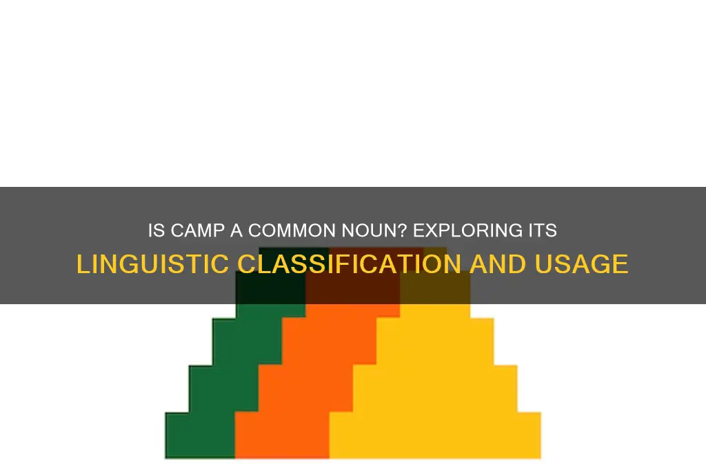 is camp a common noun