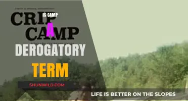 Is 'Camp' a Slur? Unpacking the Term's Cultural Significance