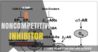 Is Camp a Noncompetitive Inhibitor? Exploring Its Mechanism and Impact