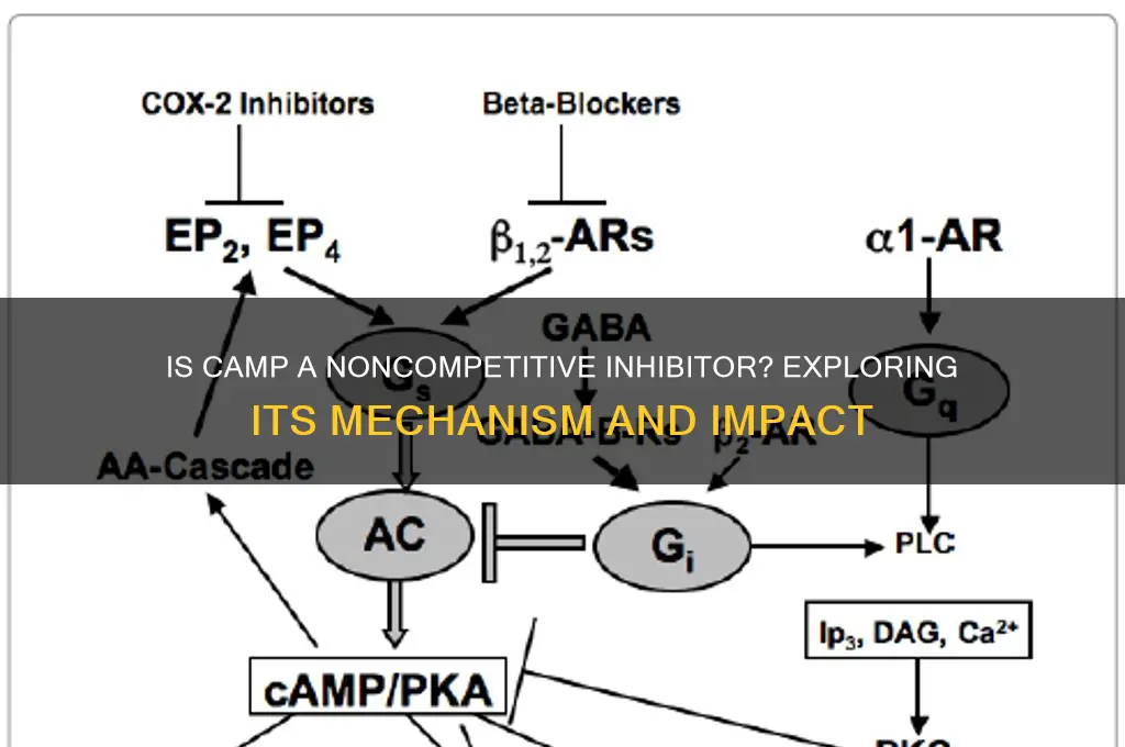 is camp a noncompetitive inhibitor