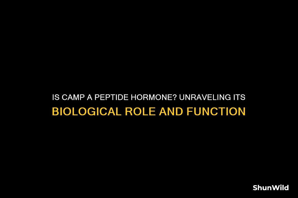 is camp a peptide hormone